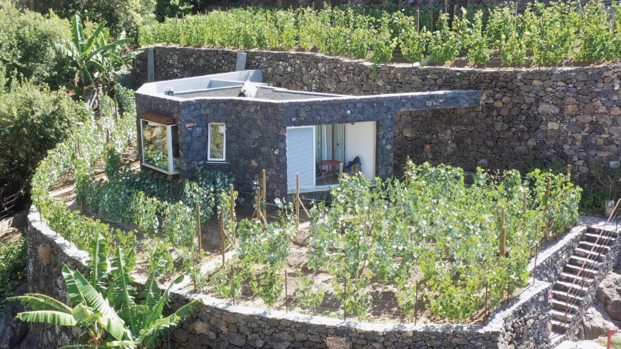 Socalco Nature Calheta Calheta  Exterior foto
